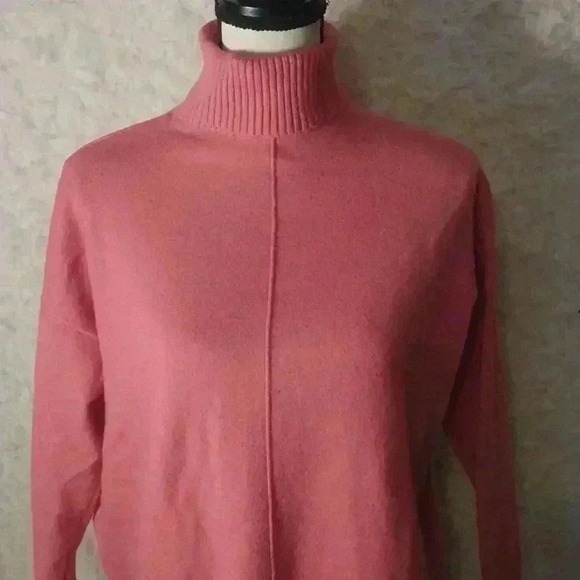 Ann Taylor Seamed Turtleneck Tunic Sweater Size MP - Picture 4 of 8